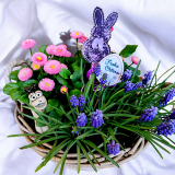 Oster Blumenstecker Stickdateien Set | Eier, Blumen & Hase | ab 10x10 cm